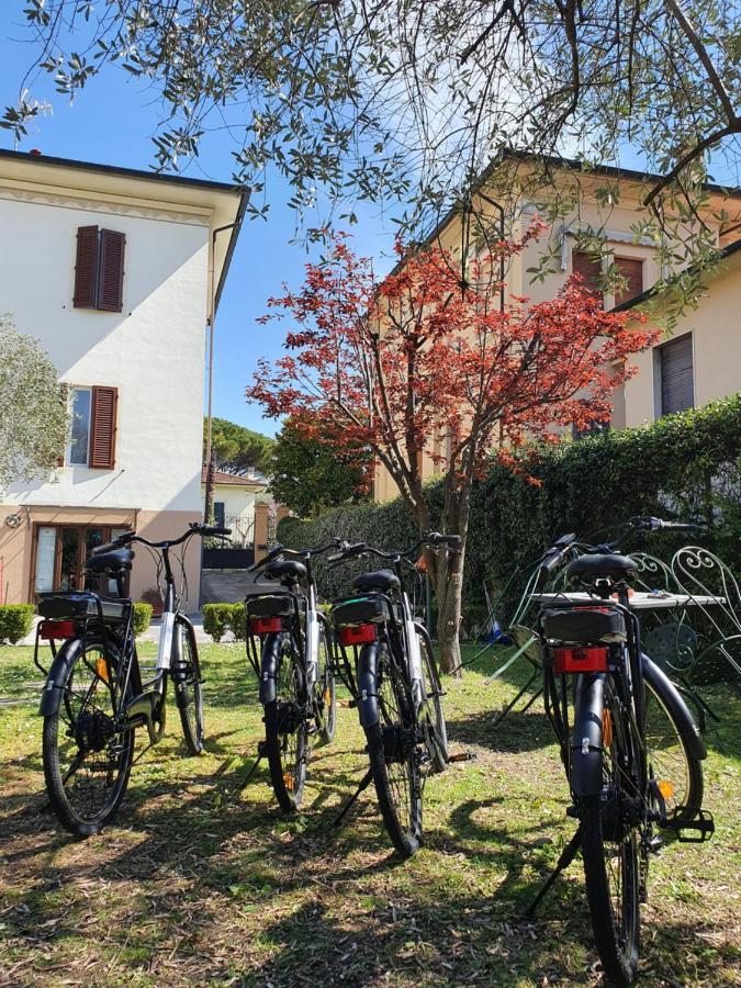 Il Giardino Del Pettirosso 3* Lucca